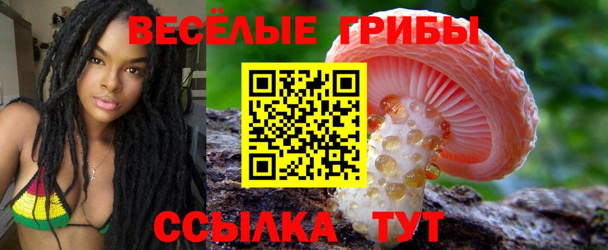 Галлюциногенные грибы Psilocybe  Вход с VPN  Кировск 