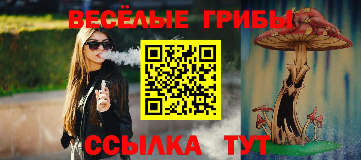 Галлюциногенные грибы Cubensis Кировск